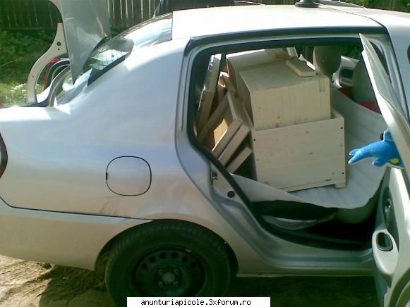 vand lazi stupi 110 lei - Renault clio , foarte spatios , au avut loc 5 buc - VANZARI ECHIPAMENTE APICOLE