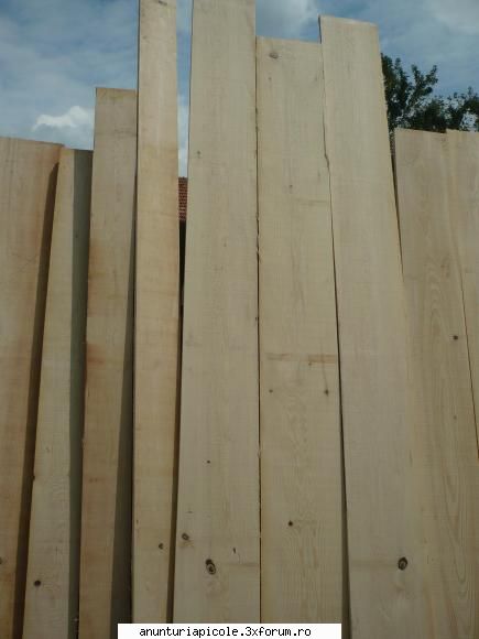 vand lazi stupi noi - material lemnos 1 - VANZARI ECHIPAMENTE APICOLE