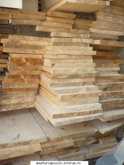 vand lazi stupi noi - material lemnos 7 - VANZARI ECHIPAMENTE APICOLE