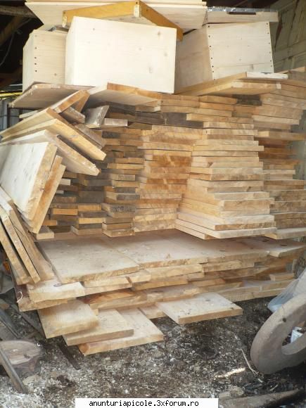 vand lazi stupi noi - material lemnos 8 - VANZARI ECHIPAMENTE APICOLE