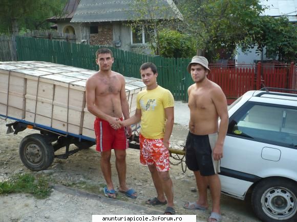 vand lazi stupi noi - Un proaspat proprietar de lazi marca "nicoara" - VANZARI ECHIPAMENTE APICOLE