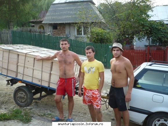 vand lazi stupi noi - nicoaraalexandru - VANZARI ECHIPAMENTE APICOLE