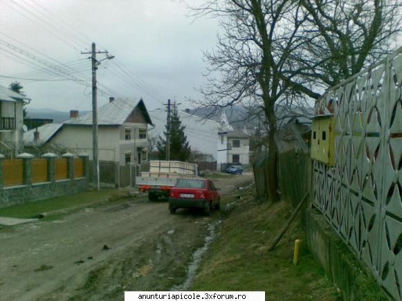 vand lazi stupi noi - stupii lui CLAU - VANZARI ECHIPAMENTE APICOLE