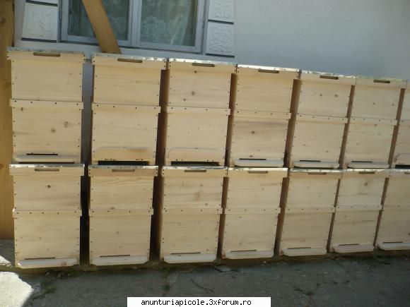 vand lazi stupi noi - Pregatiti de livrare jud. Olt, loc. Slatina - VANZARI ECHIPAMENTE APICOLE