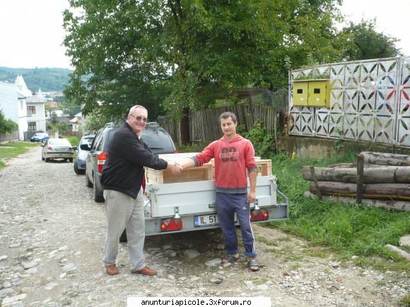 vand lazi stupi noi - isaincu - VANZARI ECHIPAMENTE APICOLE