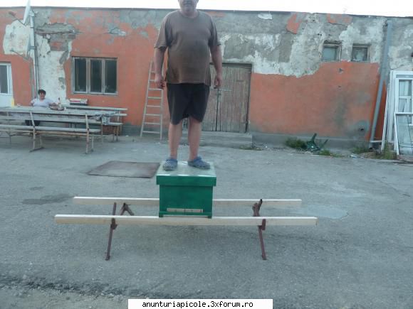 vand lazi stupi verticali si rame - robertpvr - VANZARI ECHIPAMENTE APICOLE