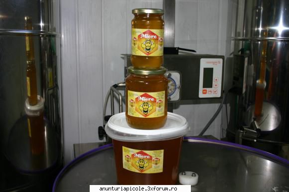 vand miere poliflora 5000kg ,rapita2000 kg ,salcam 2000kg imbuteliata - florinochea - VANZARI PRODUSE APICOLE