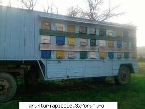 vand pavilion apicol - pavilion capacitate 60 de stupi ,se vinde fara - VANZARI ECHIPAMENTE APICOLE
