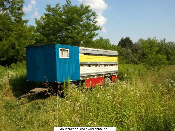 vand pavilion apicol - pavilionul este construit pe o remorca adusa din - VANZARI - CUMPARARI AUTO