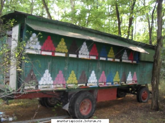 vand pavilion apicol - capacitate 48 fam albine lada pe 10 si 11 rame - VANZARI ECHIPAMENTE APICOLE