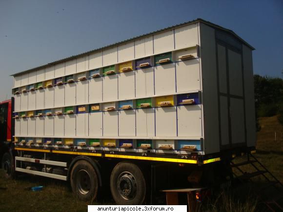 vand pavilion apicol 84 familii - Vand pavilion apicol 84 familii -FARA CAMION - VANZARI PRODUSE APICOLE