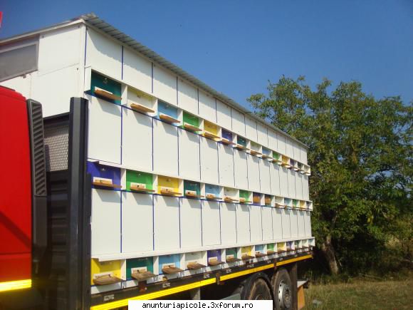 vand pavilion apicol 84 familii - urdinisurile sunt din lemn - VANZARI PRODUSE APICOLE