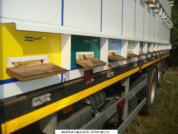 vand pavilion apicol 84 familii - sistemul de prindere pe camion s-au remorca, sub - VANZARI PRODUSE APICOLE