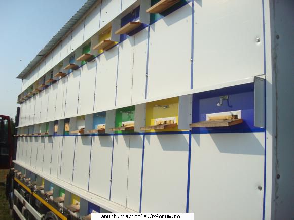 vand pavilion apicol 84 familii - separatoare intre urdinisuri - VANZARI PRODUSE APICOLE