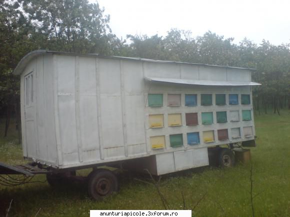 vand pavilion apicol +camion saviem - pavilionul se vinde cu lazi cu tot, fara - VANZARI - CUMPARARI AUTO