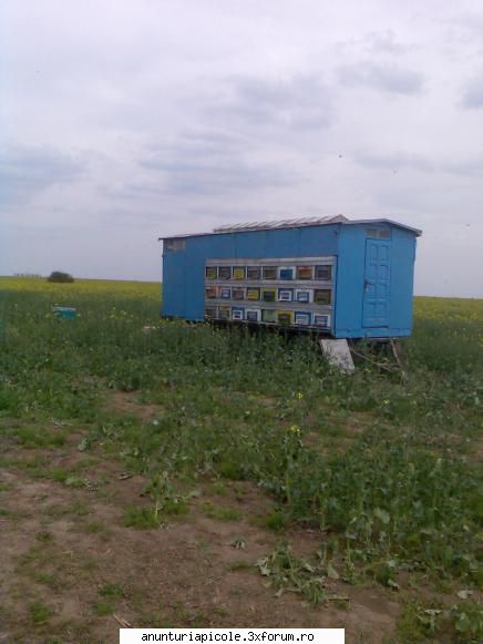 vand pavilion apicol nepopulat pentru 48 familii - catana83 - VANZARI ECHIPAMENTE APICOLE