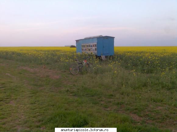 vand pavilion apicol nepopulat pentru 48 familii - catana83 - VANZARI ECHIPAMENTE APICOLE