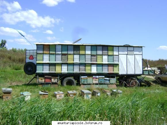 vand pavilion cu tot cu familii - dinicu geo - VANZARI ECHIPAMENTE APICOLE