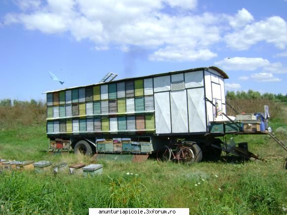 vand pavilion cu tot cu familii - dinicu geo - VANZARI ECHIPAMENTE APICOLE