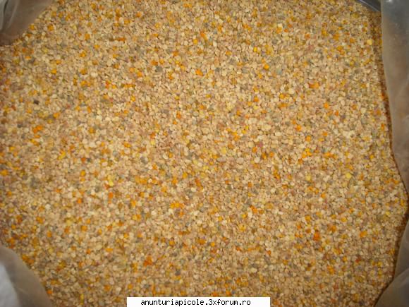 vand polen - pret 35 lei kg..tel .jud Bihor - VANZARI PRODUSE APICOLE