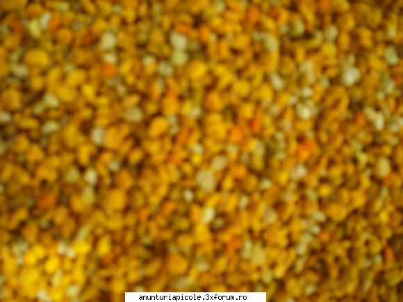 vand polen crud - ady_ceanea - VANZARI PRODUSE APICOLE
