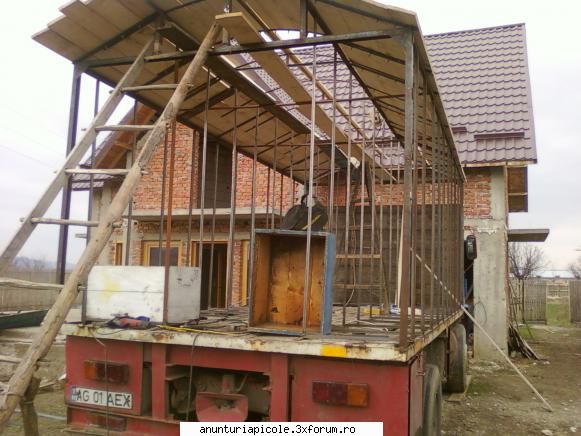 vand raba omologata apicola+2 pavilioane - dupa 1 saptamana - VANZARI ECHIPAMENTE APICOLE