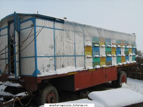 vand remorca - da, cred ca al 3 rand la camion e la aceeasi - VANZARI ECHIPAMENTE APICOLE