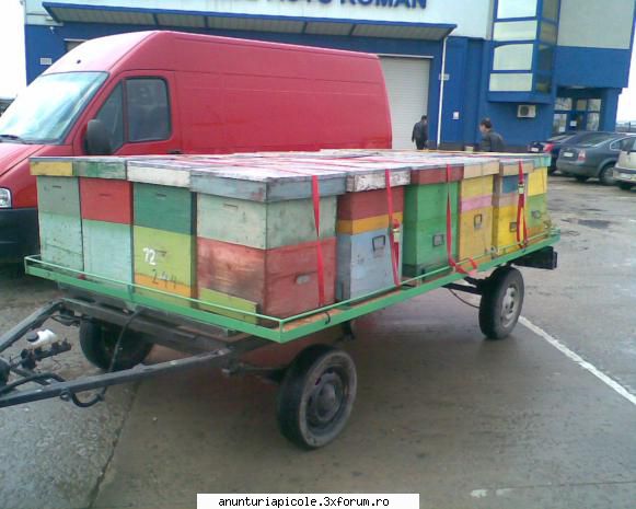 vand remorca apicola - daniel8302 - VANZARI - CUMPARARI AUTO