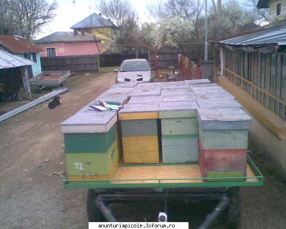 vand remorca apicola - daniel8302 - VANZARI - CUMPARARI AUTO