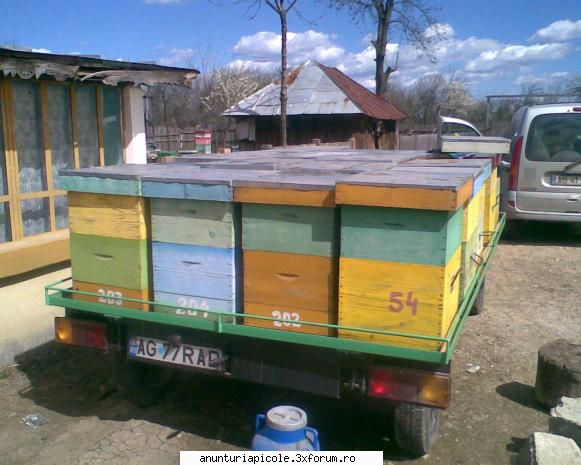 vand remorca apicola - daniel8302 - VANZARI - CUMPARARI AUTO