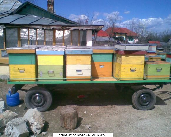 vand remorca apicola - daniel8302 - VANZARI - CUMPARARI AUTO