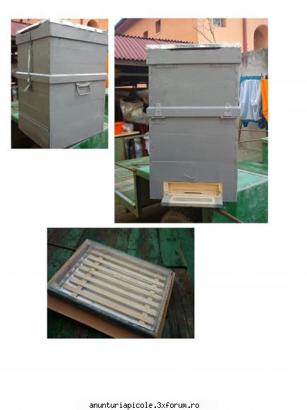 vand roi cu lazi noi - Vand 35 roi formati din 3 rame puiet + 2 rame - VANZARI MATERIAL BIOLOGIC