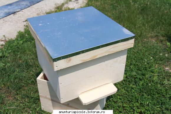 vand stupi - sd63 - VANZARI ECHIPAMENTE APICOLE