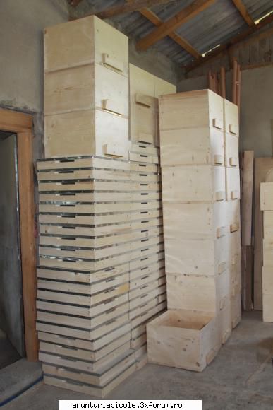 vand stupi - sd63 - VANZARI ECHIPAMENTE APICOLE