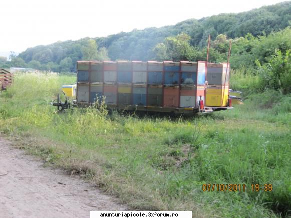 vand trailer transport albine - incarcat custupi - VANZARI - CUMPARARI AUTO