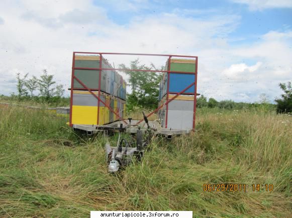 vand trailer transport albine - cristi004 - VANZARI - CUMPARARI AUTO