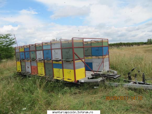 vand trailer transport albine - cristi004 - VANZARI - CUMPARARI AUTO