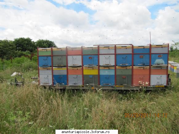 vand trailer transport albine - cristi004 - VANZARI - CUMPARARI AUTO