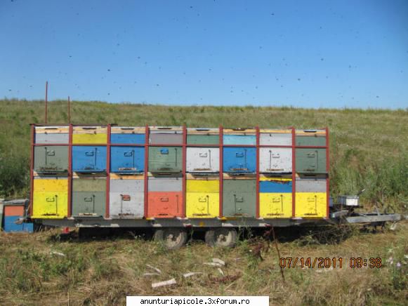 vand trailer transport albine - cristi004 - VANZARI - CUMPARARI AUTO