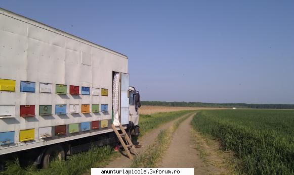 vind camion apicol - Vind camion man 8.163,an 1997,7,5t,motor de 4580 - VANZARI - CUMPARARI AUTO