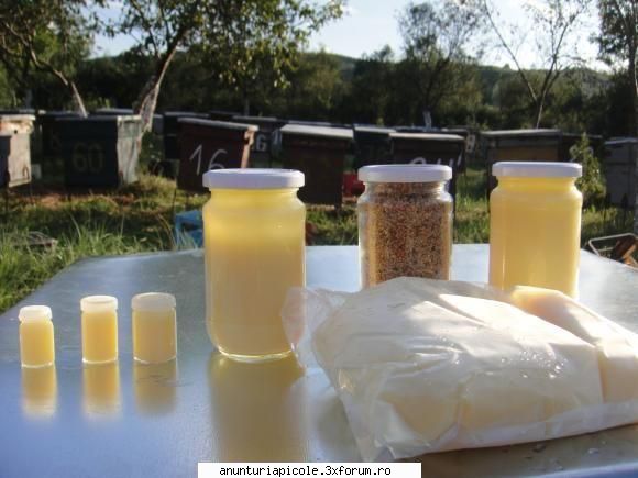 vind laptisor de matca - Vand LAPTISOR DE MATCA PUR 2010 calitatea l cu - VANZARI PRODUSE APICOLE